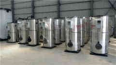  YLZK-x1太康银晨锅炉厂 cosmetichill.com