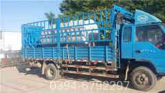 最小型燃煤蒸汽锅炉