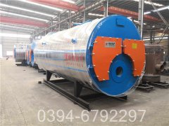 12t冷凝导热油炉