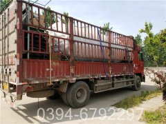 2吨燃气低氮锅炉