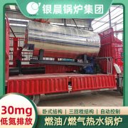 WNS20-1.25-QY蒸汽锅炉YABO.COM
