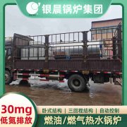 WNS5-1.25-QY燃气蒸汽锅炉YABO.COM
