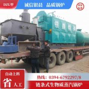 WNS0.7-1.0-QY低氮蒸汽锅炉太康县银晨锅炉厂