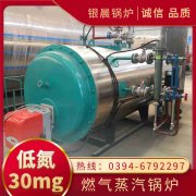 15吨燃气蒸汽锅炉银晨锅炉集团