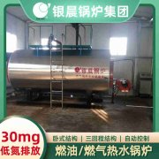 20吨天然气蒸汽锅炉YABO.COM
