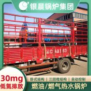 10吨热水锅炉多少钱