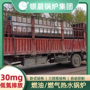 热水锅炉的系统