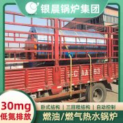 链条炉排热水锅炉