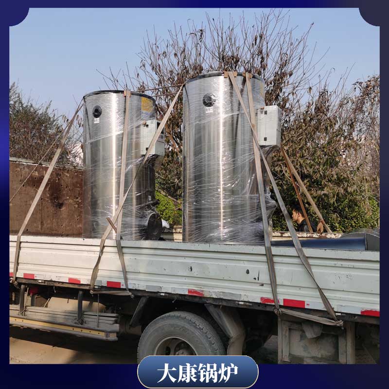 燃生物质锅炉厂家