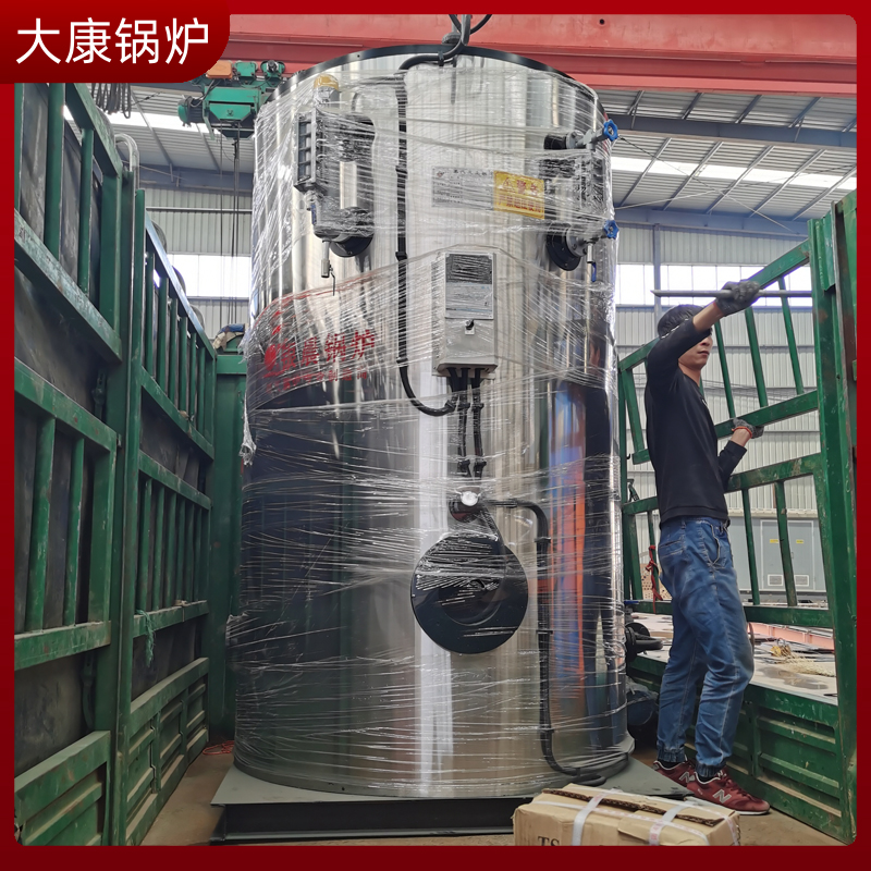 10蒸吨生物质蒸汽锅炉