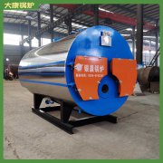 台湾0.1mw低氮导油炉