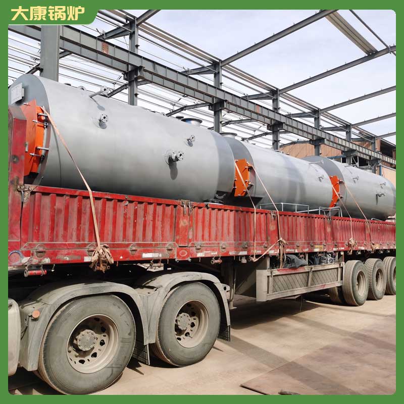 生物质锅炉100kg