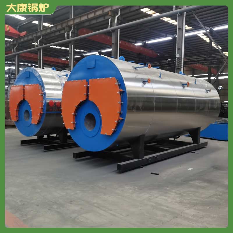 生物质生物质锅炉厂